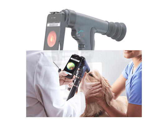 אופטלמוסקופ PanOptic iExaminer Vet 2