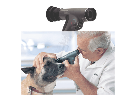 אופטלמוסקופ PanOptic Vet 2