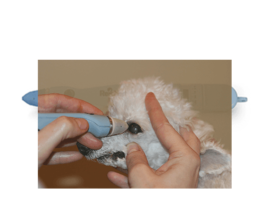 Tonopen Vet 2